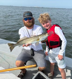 Sea Trout stacking up in Sarasota shallows
