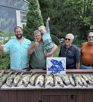 Smashing Walleye in Lake Erie!