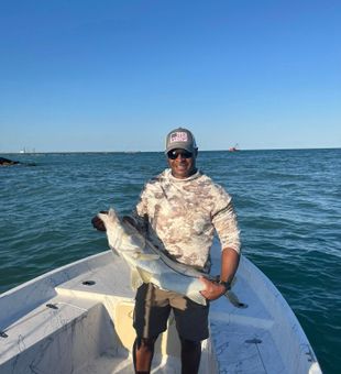Powerful Snook—coastal classic!