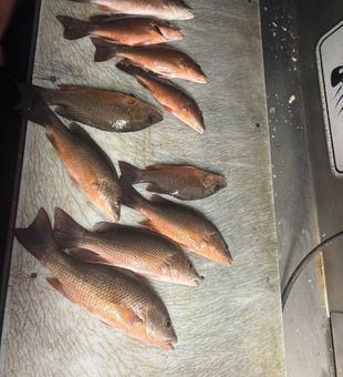 Experience unforgettable fishing in Port Canaveral, FL.