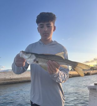 Beautiful Port Canaveral snook making memories on the water!