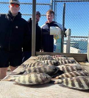 Good-sized Sheepshead - Port Canaveral, FL.