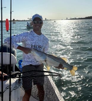 Sunlit Snook—pure action!