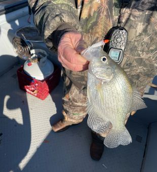 Lake Allatoona, where fishing dreams are made