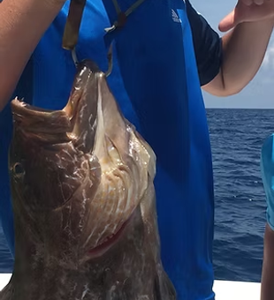 The ocean is calling—let’s fish!