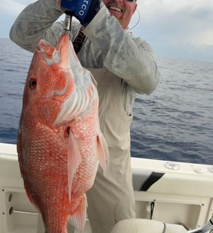 Beautiful red snapper from Daytona Beach waters!