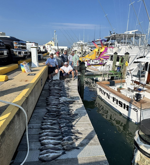 Where the fish always bite: Virginia Beach