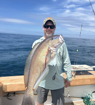 Let’s chase Whitefish together