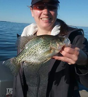 Crappie Fishing  in Lake Michigan