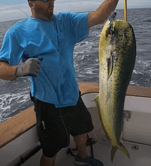 Mahi Mahi from Atlantic Beach, NC