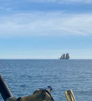 Offshore fishing 2022