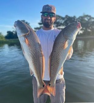 Reel in Redfish Fun in Tampa