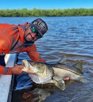 Best Snook Fishing in Tampa Bay