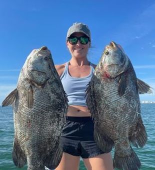 Tampa Bay Fishing: Nice Tripletail