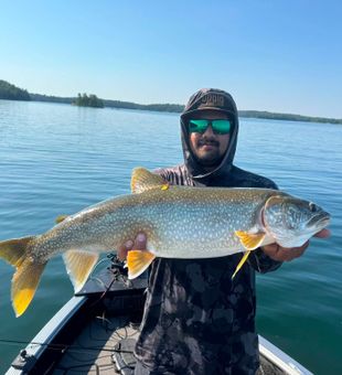 Beautiful Lake Trout from Nestor Falls ON!