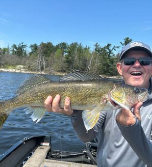 Beautiful Nestor Falls walleye ready for the net!