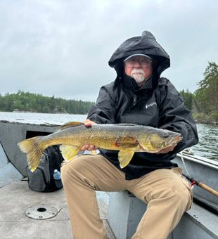 Impressive Walleye Fishing Catch