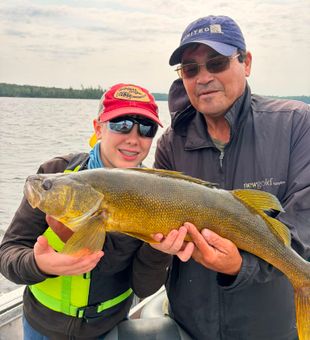 Nice walleye from Nestor Falls ON waters!