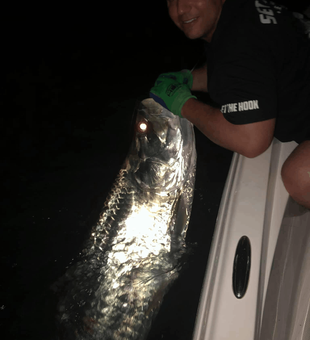 Florida Fishing: Where Memories are Made