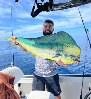 Chasing the big ones in North Myrtle Beach