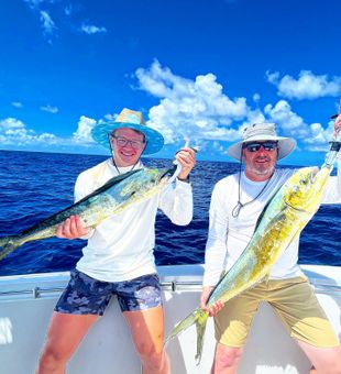 Key West Adventure Awaits, Mahi Mahi