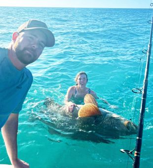 Explore Florida's Coastal Beauty, Grouper
