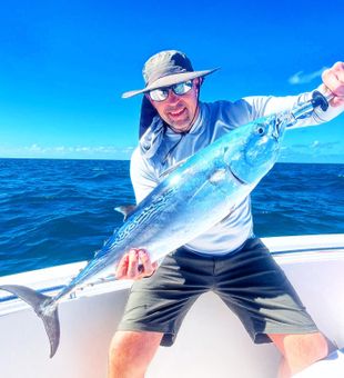 Key West Fishing Paradise, Little Tunny