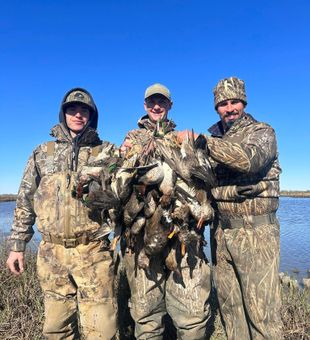 Duck hunting sunrise Matagorda marsh