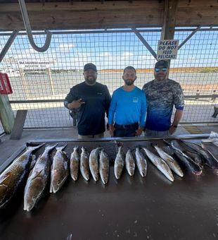 Matagorda speckled trout caught today