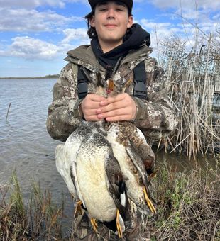 Waterfowl hunt Matagorda Bay morning