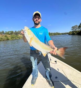 Redfish action in Matagorda Bay