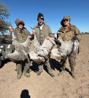 Guided Matagorda duck hunting for peak bird season.