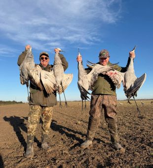 Premier Matagorda duck hunting in the Texas marsh.
