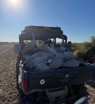 Best duck hunting spots in Matagorda, Texas.