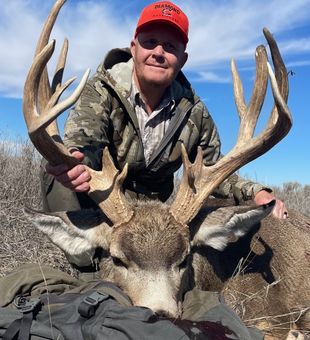 Massive mule deer—impressive.