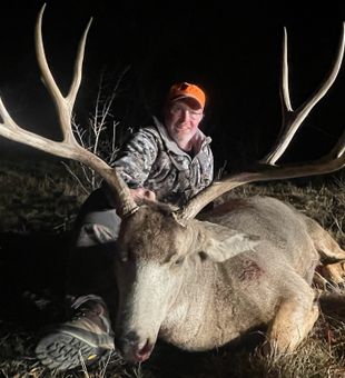 Heavy mule deer—impressive.