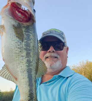 Thick largemouth bass Lake Fork fly fishing guide