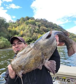 Catch catfish, reel memories