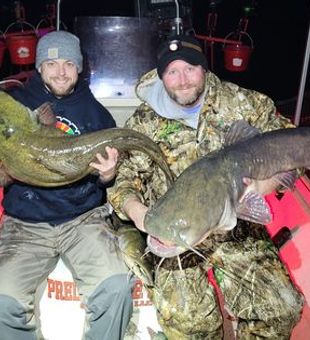 Catching catfish: timing matters most