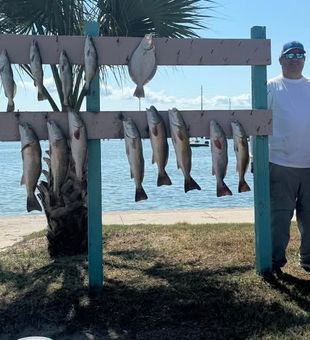 Redfish Haul! - Aransas Pass, TX.