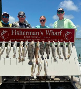 Mixed bag of speckled trout, black drum and redfish!