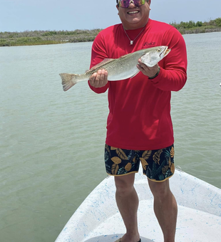 Calm seas, bent rods