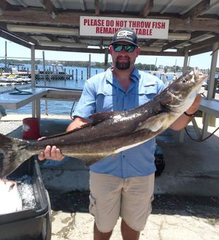 Panama City Beach, FL Cobia