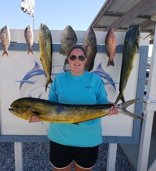 Mahi Mahi in Panama City Beach, FL