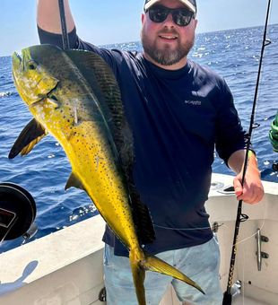 Dolphinfish in Wanchese