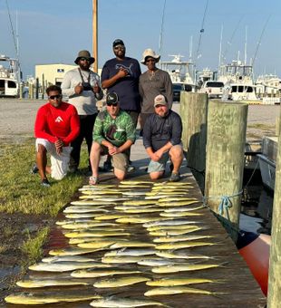 Full Coolers of Mahi Mahi