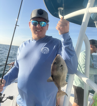 Grey Triggerfish from Clearwater Bay waters!