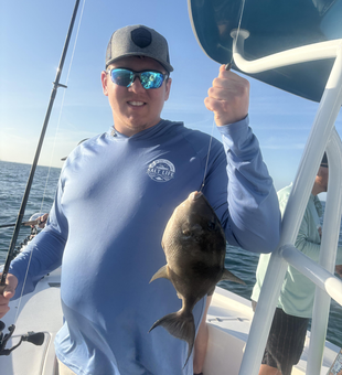 Nice Grey Triggerfish from Clearwater Bay waters!