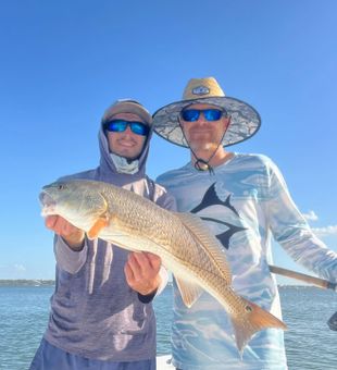 Another beautiful Largo FL redfish on the boat!