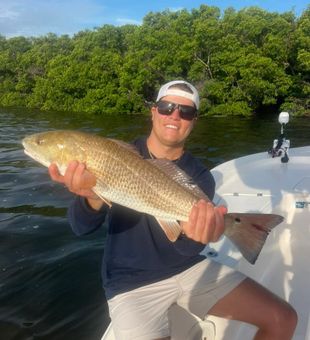 Beautiful Largo FL redfish on the boat!